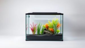 Best Divider For 10 Gallon Fish Tank 2026