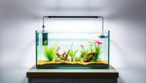 Best Diy Fish Tank Stand 2026
