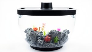 Best Filter Medium For Aquarium 2026