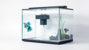Best Fish Tank Filter For Betta 2026