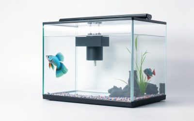 Best Fish Tank Filter For Betta 2026