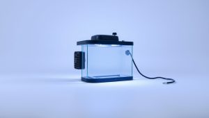 Best Fish Tank Heater For 5 Gallon 2026
