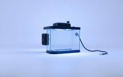 Best Fish Tank Heater For 5 Gallon 2026