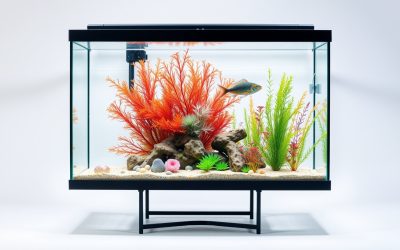 Best Fish Tank On Stand 2026
