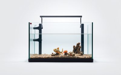 Best Fish Tank Stand 75 Gallon 2026