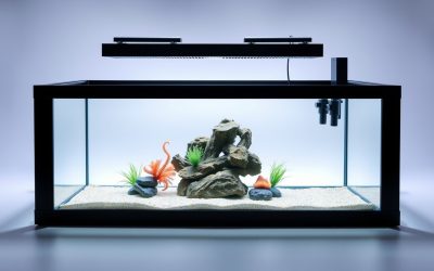 Best Fish Tank Stand Combo 2026