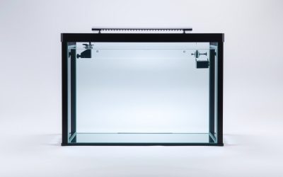 Best Fish Tank Stand For 10 Gallon 2026