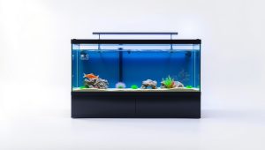 Best Fish Tank Stand For 40 Gallon 2026