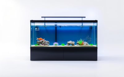 Best Fish Tank Stand For 40 Gallon 2026