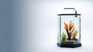 Best Fish Tank Stand Hexagon 2026