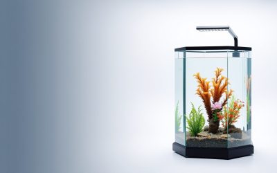 Best Fish Tank Stand Hexagon 2026