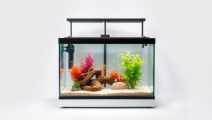 Best Fish Tank Stand Petsmart 2026