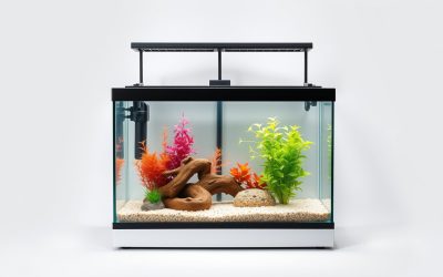 Best Fish Tank Stand Petsmart 2026