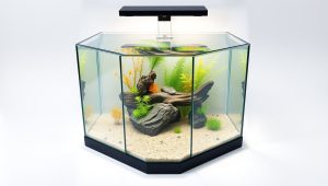 Best Hexagonal Fish Tank Stand 2026