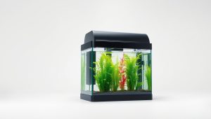 Best In Tank Aquarium Filter 2026