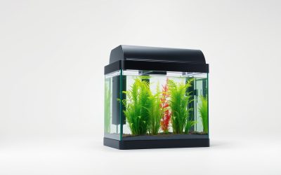 Best In Tank Aquarium Filter 2026