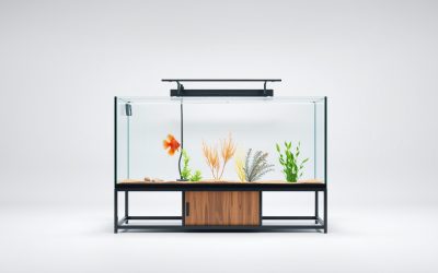 Best Large Aquarium Fish Tank With Stand 2026