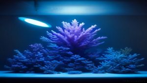 Best LED Lighting For Reef Tank 2026