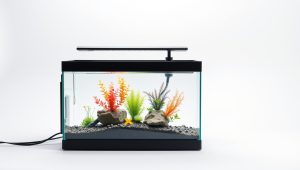 Best Light Timer Aquarium 2026