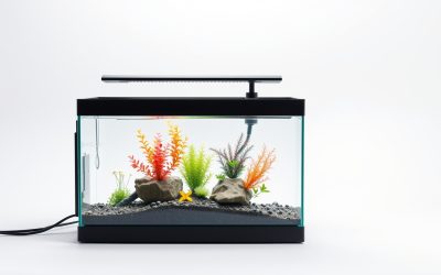 Best Light Timer Aquarium 2026