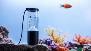Best Nano Protein Skimmers for Small Reef Tanks