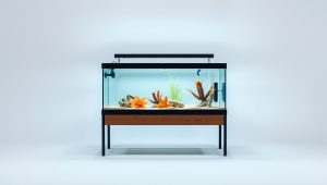 Best Petco Fish Tank With Stand 2026