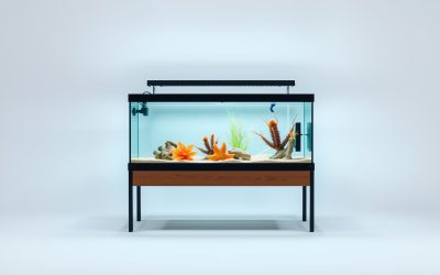 Best Petco Fish Tank With Stand 2026
