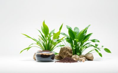 Best Plant Fertilizer For Aquarium Plants 2026