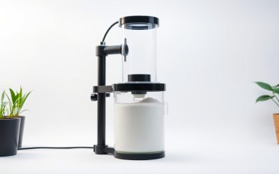 Best Protein Skimmer For Aquarium 2026