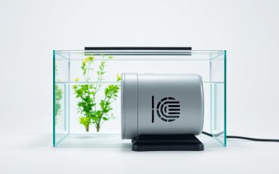 Best Quietest Air Pump For Aquarium 2026