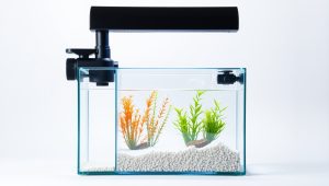 Best Ro Water Filter System For Aquarium 2026