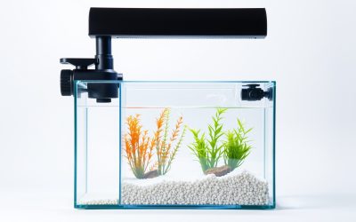 Best Ro Water Filter System For Aquarium 2026