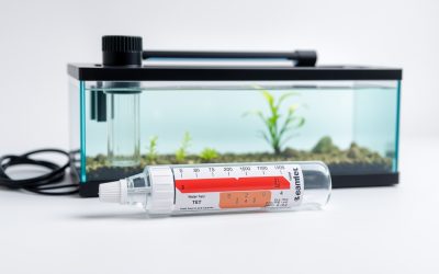Best Saltwater Aquarium Water Test Kit 2026