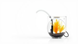 Best Siphon Aquarium Cleaner 2026