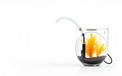 Best Siphon Aquarium Cleaner 2026