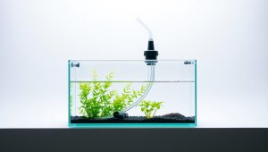 Best Small Aquarium Siphon 2026
