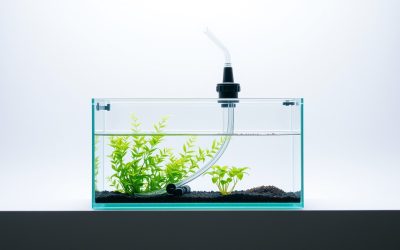 Best Small Aquarium Siphon 2026