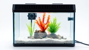 Best Smallest Heater For Fish Tank 2026