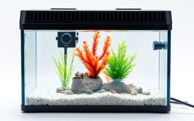 Best Smallest Heater For Fish Tank 2026