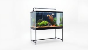 Best Stand For 20 Gallon Fish Tank 2026