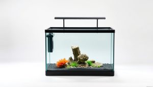Best Stand For 50 Gallon Fish Tank 2026