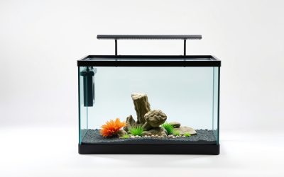Best Stand For 50 Gallon Fish Tank 2026