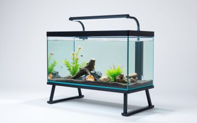 Best Sturdy Fish Tank Stand 2026