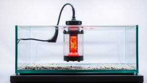 Best Submersible Heater For Fish Tank 2026