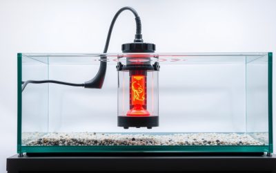 Best Submersible Heater For Fish Tank 2026