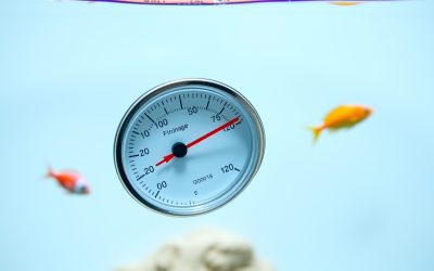 Best Thermometer In Aquarium 2026