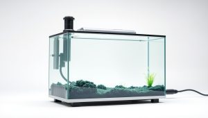 Best Top Fin Fish Tank Heater 2026