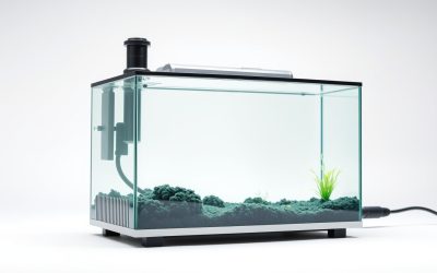 Best Top Fin Fish Tank Heater 2026