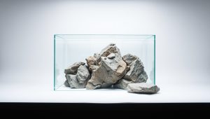Best Universal Rocks Aquarium Background 2026