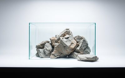 Best Universal Rocks Aquarium Background 2026